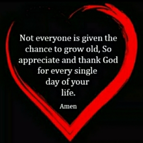 Old Navy Green Chunky Hooded Sweater EUC - Picture 12 of 12